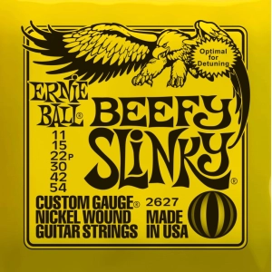 Cuerdas Ernie Ball Slinky Nickel Wound 11-54