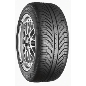 Neumáticos Michelin Pilot Sport A/S 275/40 R18 99Y