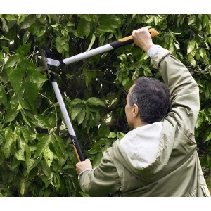 Tijeras de podar y tijeras de jardín