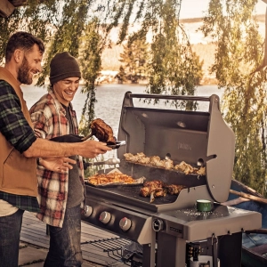 Barbacoa y barbacoa