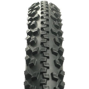 Schwalbe