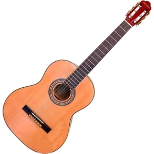 Guitarra Parksons RCG001-39NF