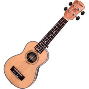 Guitarra Parksons UK21YS