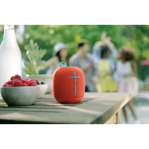 Ultimate Ears Wonderboom