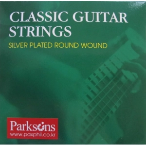 Cadenas Parksons Silver Plated Round Wound 28-43