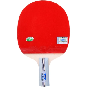 Raqueta de tenis de mesa 729 2010