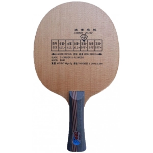 Raqueta de tenis de mesa 729 8041