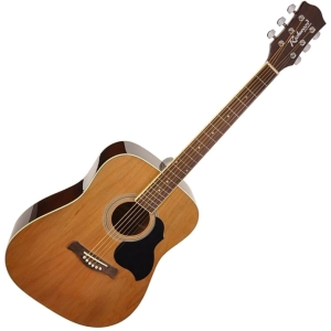 Guitarra Richwood RD-12