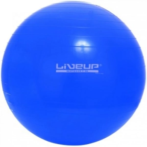 Fitness/Fitball LiveUp LS3221-65