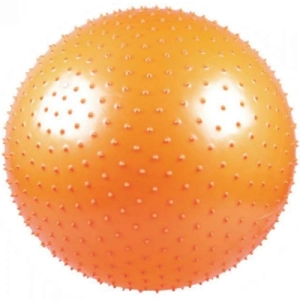 Fitness/Fitball LiveUp LS3224-65