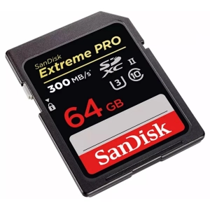 SanDisk