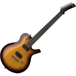 Guitarra Parker PM20