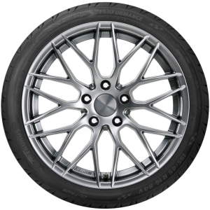 Taurus High Performance 195/50 R15 82V