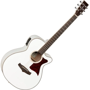 Tanglewood TW4