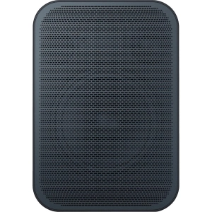 Sistema de sonido Bluesound Pulse Flex