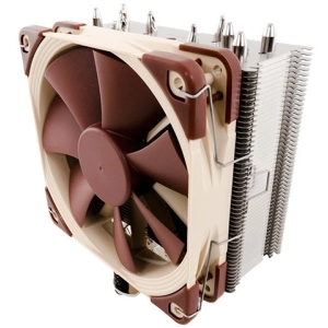 Noctua