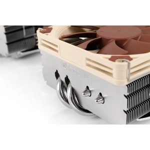 Noctua