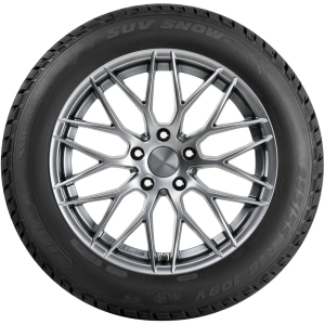 Riken SUV Snow 225/60 R17 103V