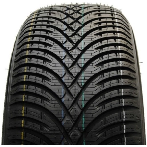 BF Goodrich G-Force Winter 2 225/55 R17 101V