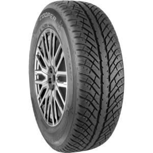 Neumáticos Cooper Discoverer Winter 295/35 R21 107V