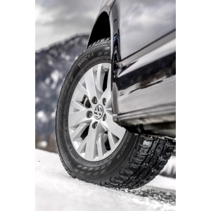 Nokian WR C3 225/55 R17C 109T