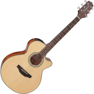 Takamine GF15CE