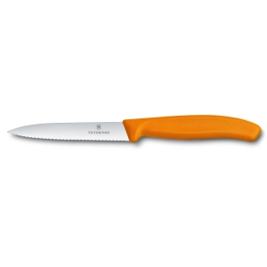 Victorinox Swiss Classic 6.7116.31G