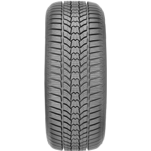 Sava Eskimo HP2 245/45 R18 100V