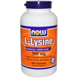 Aminoácidos Now L-Lysine 500 mg