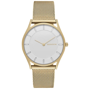 Reloj Skagen SKW2377