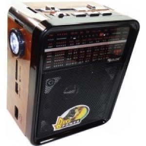 Radio/reloj Golon RX-9100