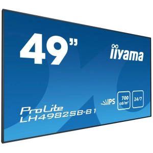 Iiyama