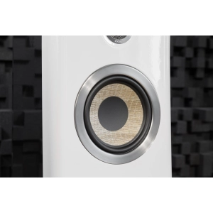 Focal JMLab Kanta N2