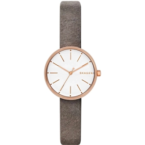 Reloj Skagen SKW2644