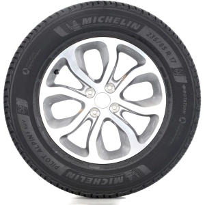 Michelin Pilot Alpin 5