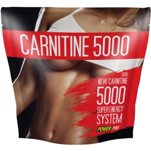 Quemador de grasa Power Pro Carnitine 5000 500 g