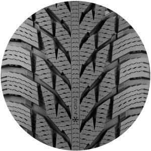 Nokian Hakkapeliitta R3 195/60 R15 88R