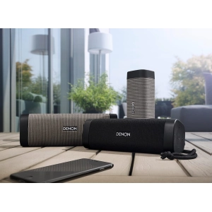 Denon Envaya Mini DSB-150