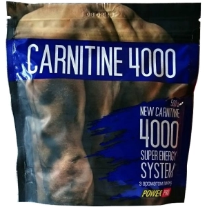 Quemador de grasa Power Pro Carnitine 4000 500 g