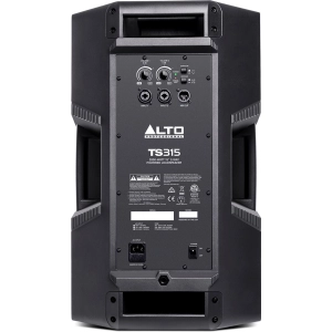 Alto Truesonic TS308