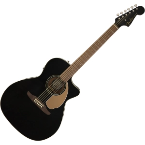 Fender Newporter Player