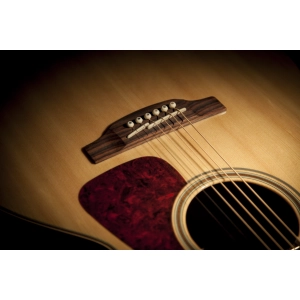 Takamine