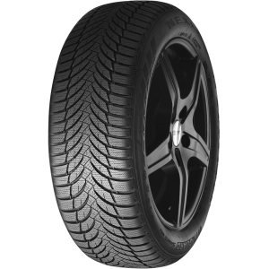 Nexen Winguard Snow G WH2 205/55 R16 94V