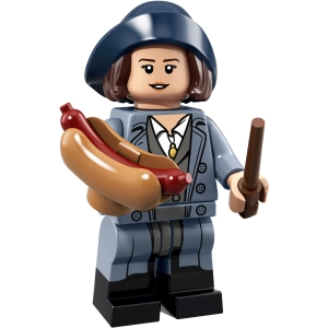 Lego Harry Potter and Fantastic Beasts Series 1 71022