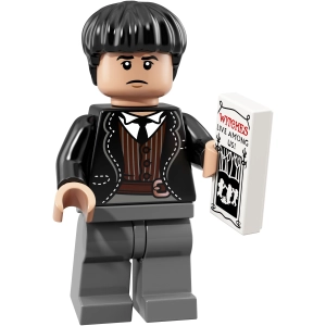 Lego Harry Potter and Fantastic Beasts Series 1 71022