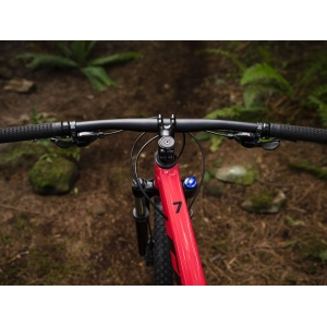 Trek Marlin 7 Womens 29 2019 frame M