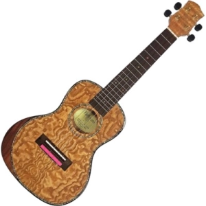 Guitarra Parksons UK24FM