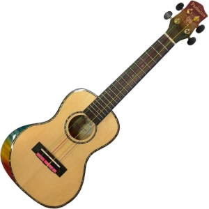 Guitarra Parksons UK24EM