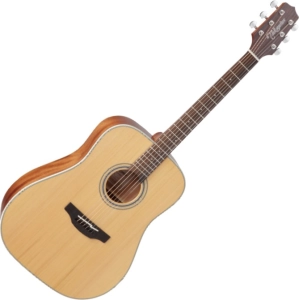 Guitarra Takamine GD20NS