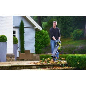 Ryobi RBV36B